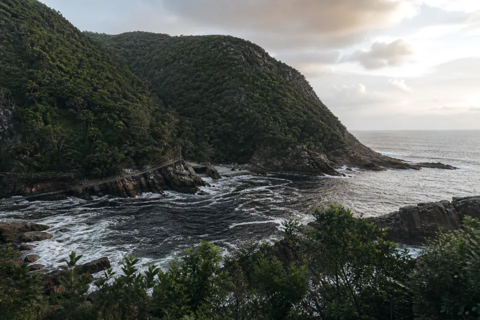 A forested Garden Route coastline and suspension bridge