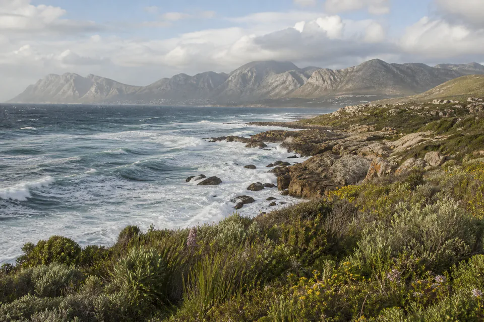 The rugged Overberg coastline near Cape Agulhas